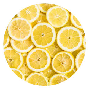 <h4><strong>Feature</strong></h4>